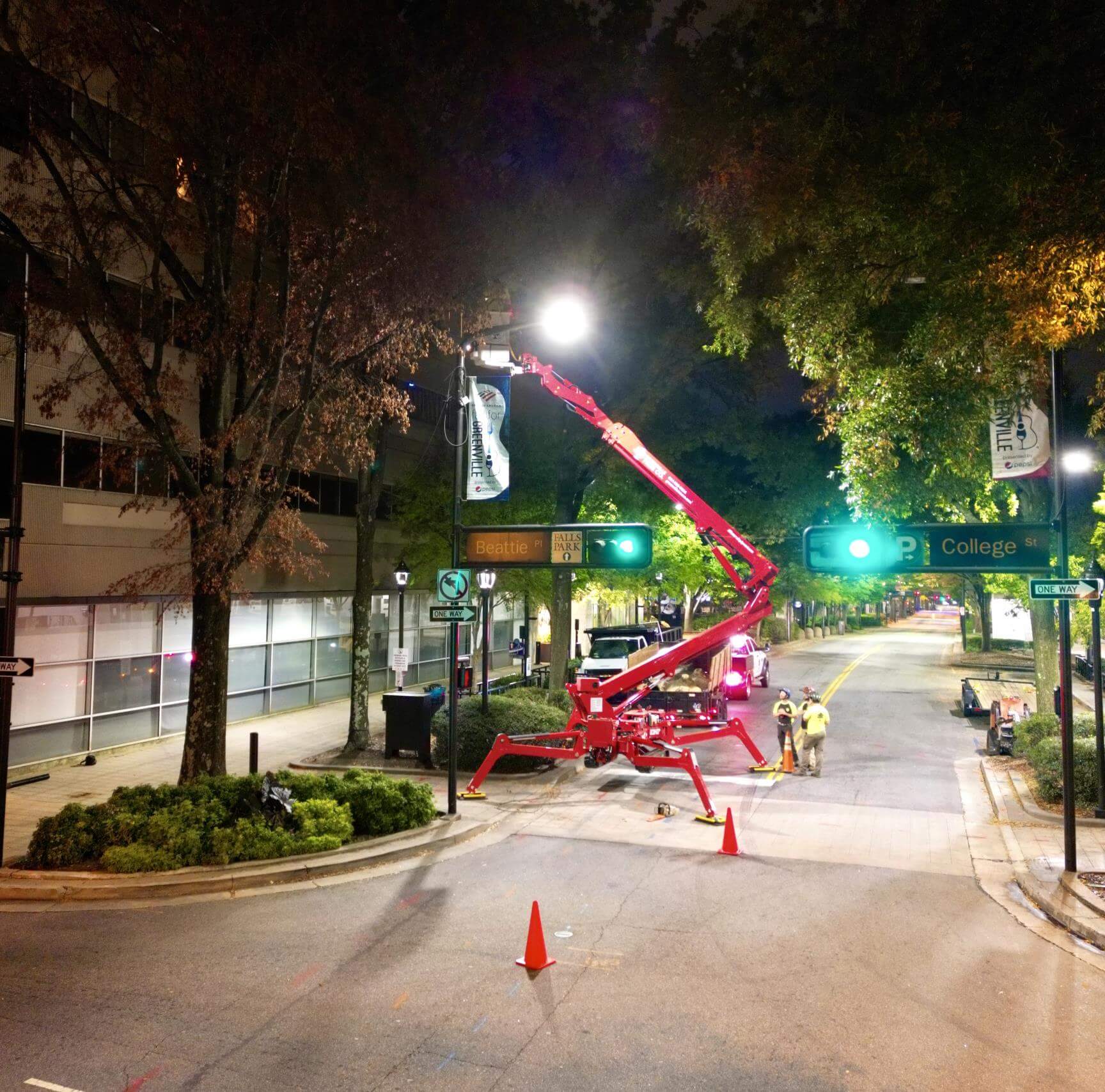 Tree Care Downtown Greenville