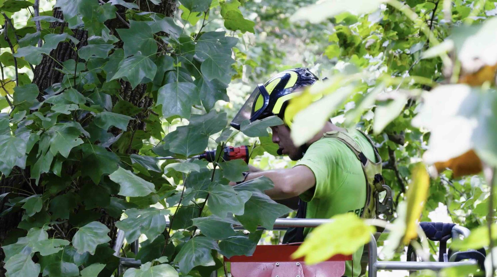 Cabling_Drilling.jpg