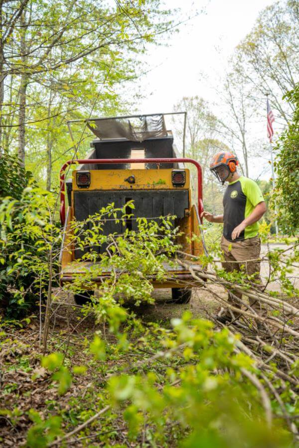 Tree Cleanup Greenville Tree Co.