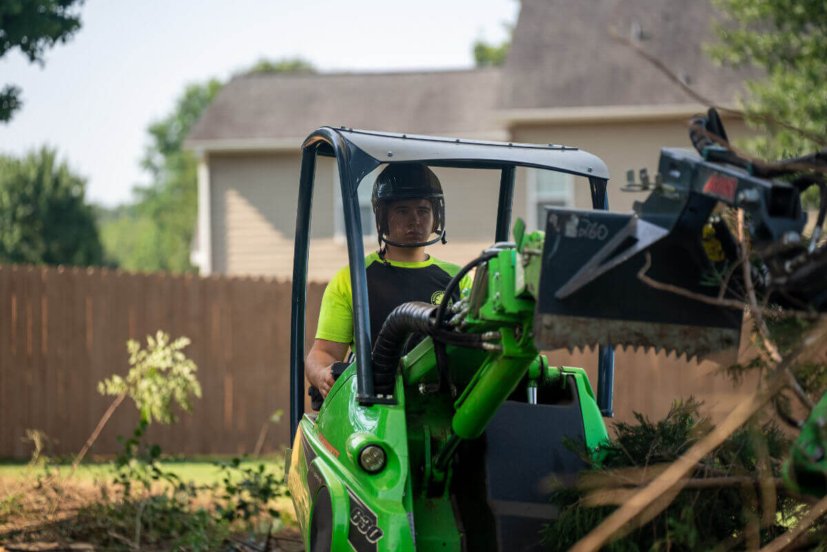 Tree Cleanup Greenville Tree Co.