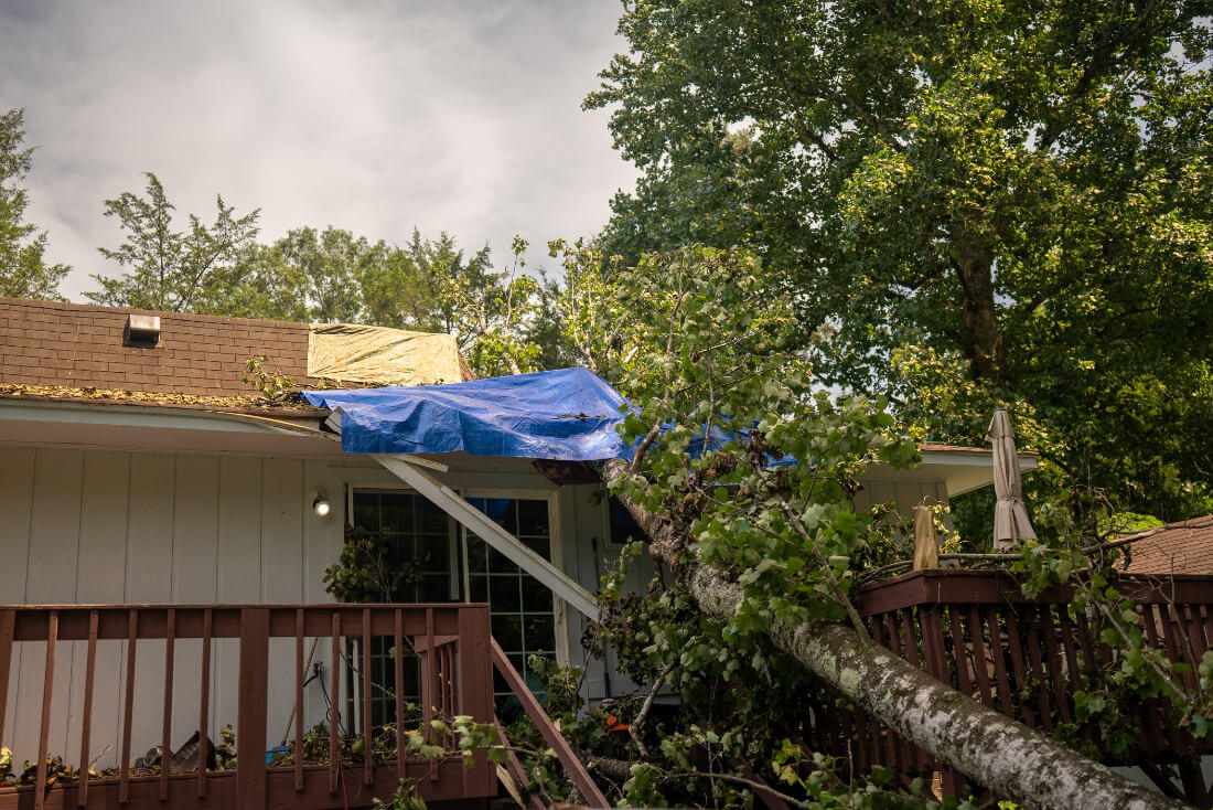 Emergency Tree Removal Greenville Tree Co.