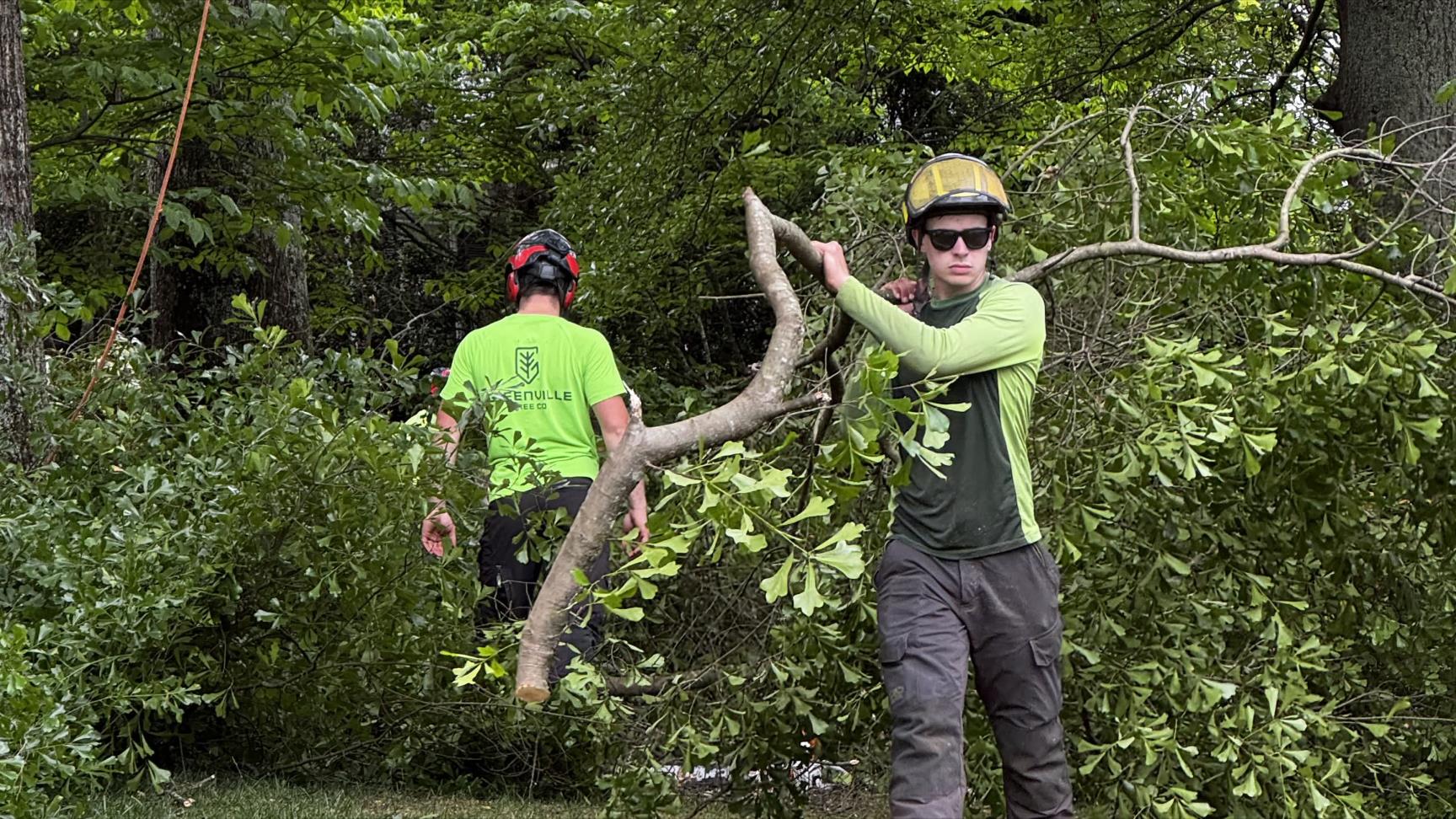 Cleanup
