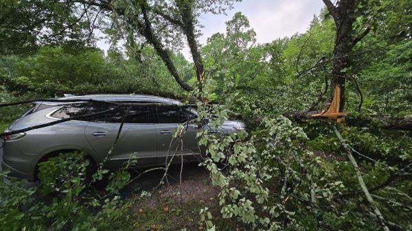Storm_Damage_to_Car_2.jpg