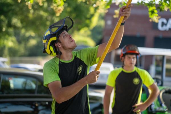 Tree Trimming Greenville Tree Co.