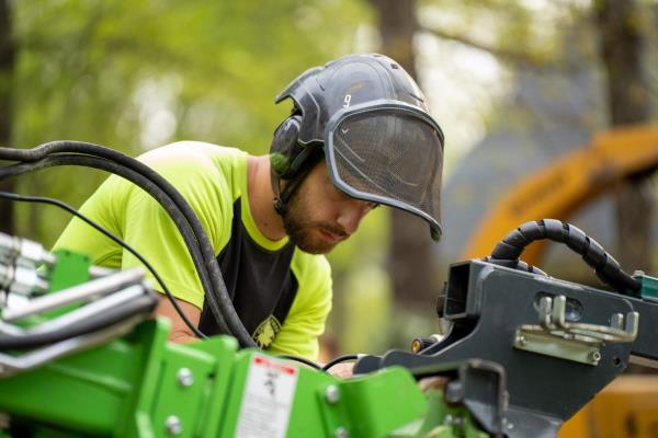 Tree Cleanup Greenville Tree Co.