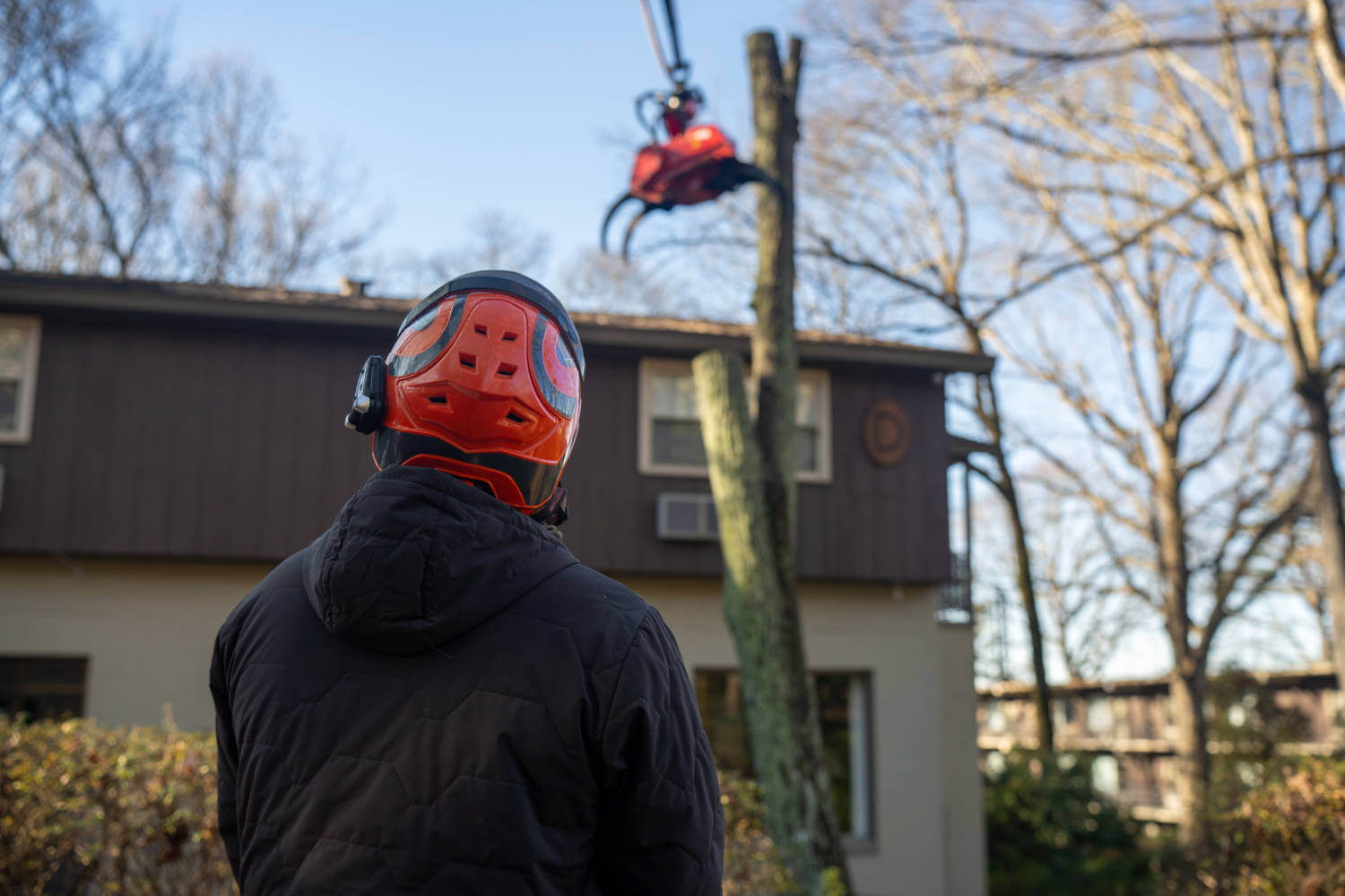 Tree Removal Claw Greenville Tree Co.