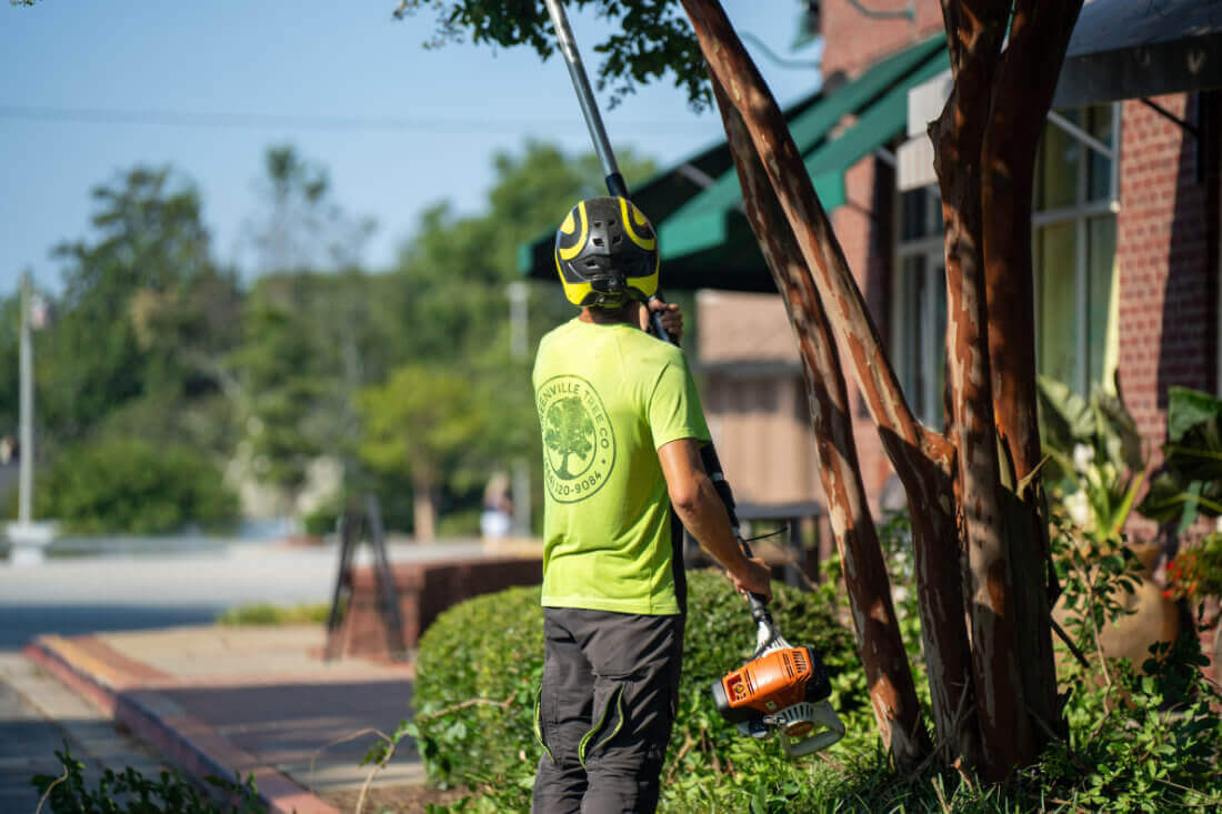 Tree Trimming Greenville Tree Co.