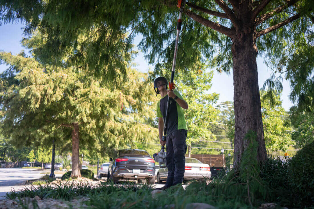 Tree Trimming Greenville Tree Co.