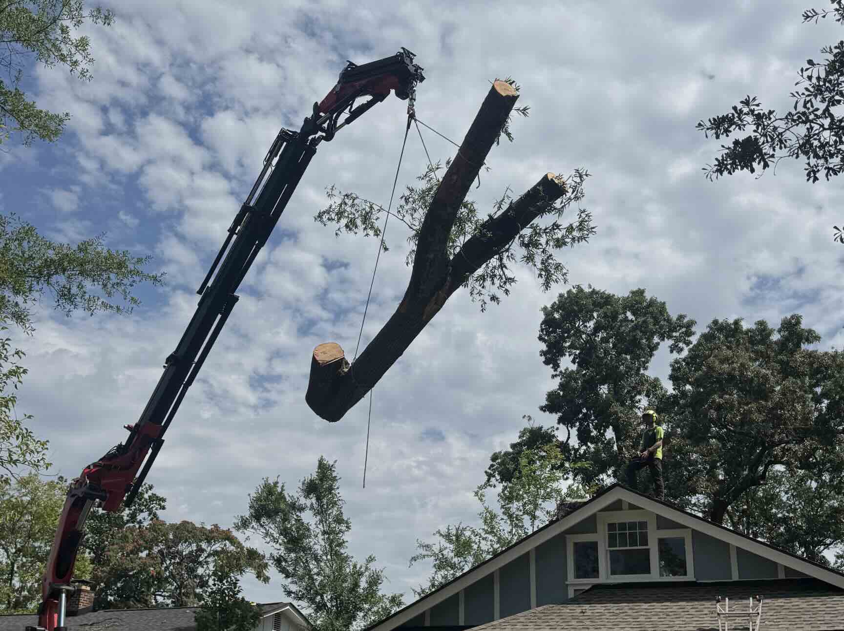 Emergency Tree Removal