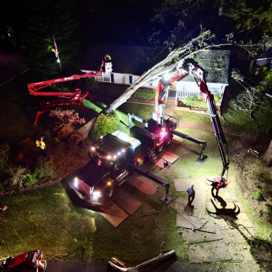 Emergency_Night_Tree_Removal_Header.jpg